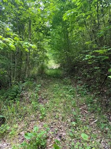 408 Arvil Gosnell Road Marshall NC 28753