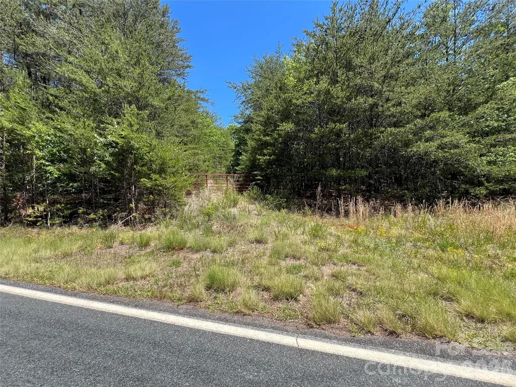 0 Luckadoo Mountain Road Bostic NC 28018