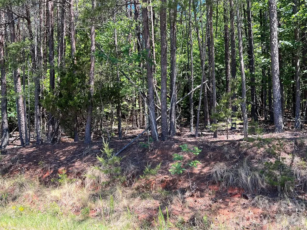 0 Luckadoo Mountain Road Bostic NC 28018