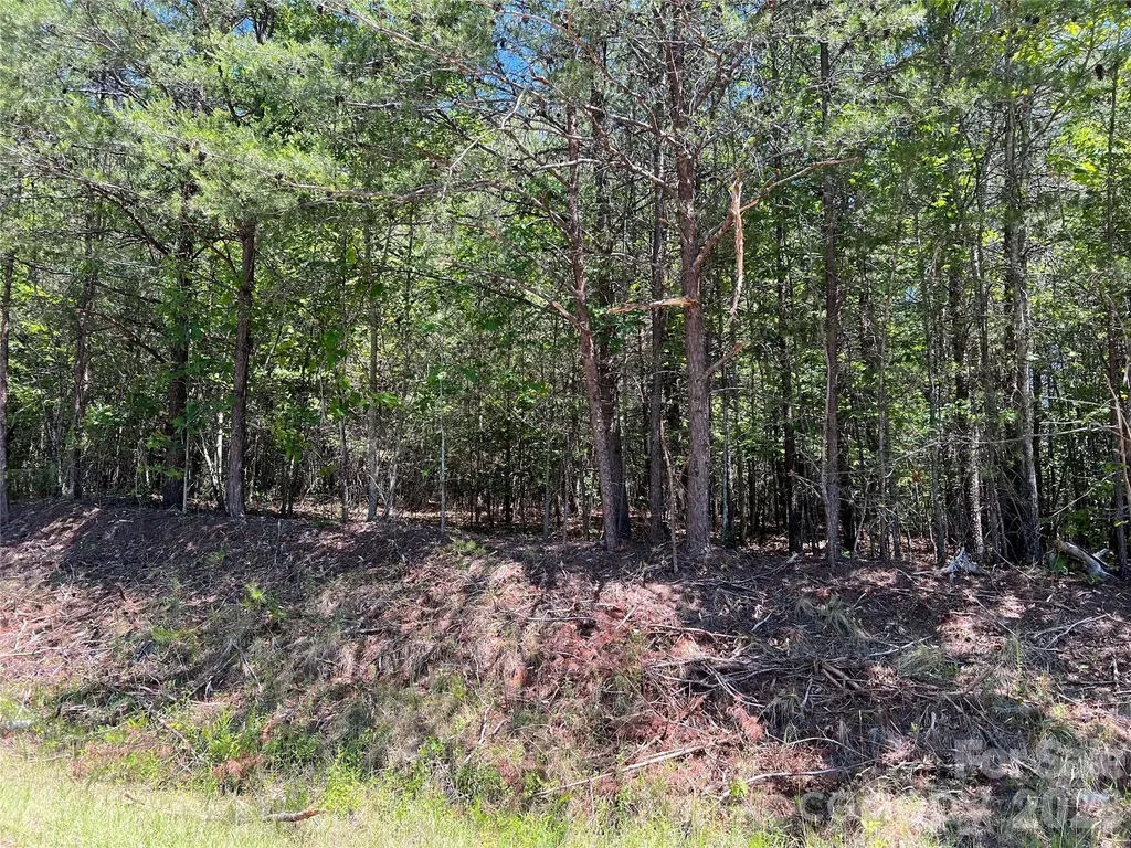 0 Luckadoo Mountain Road Bostic NC 28018