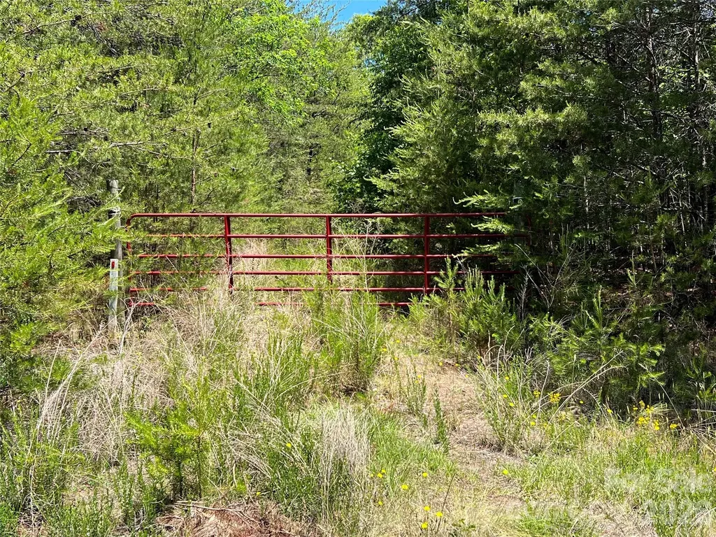 0 Luckadoo Mountain Road Bostic NC 28018