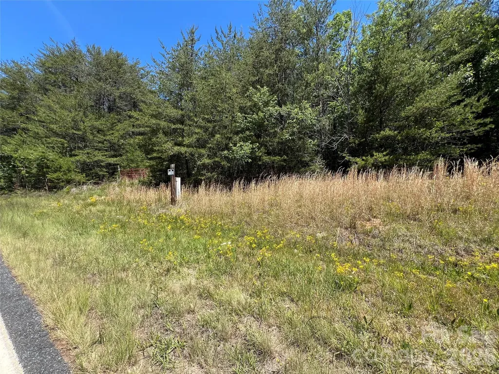 0 Luckadoo Mountain Road Bostic NC 28018