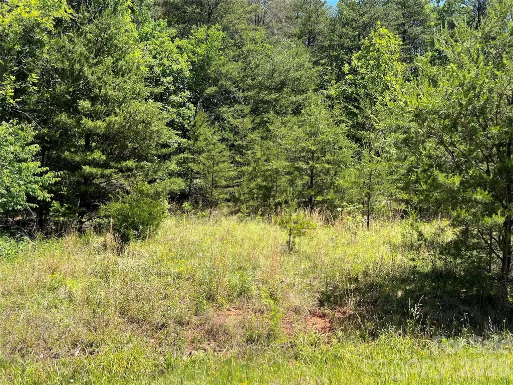 0 Luckadoo Mountain Road Bostic NC 28018