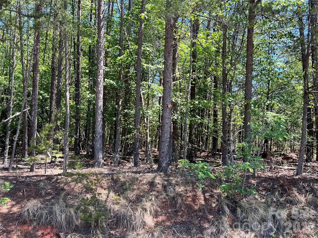 0 Luckadoo Mountain Road Bostic NC 28018