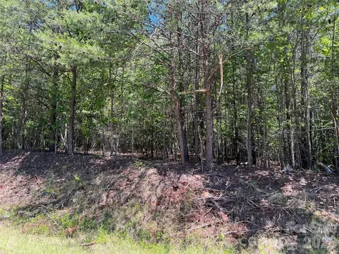 0 Luckadoo Mountain Road Bostic NC 28018