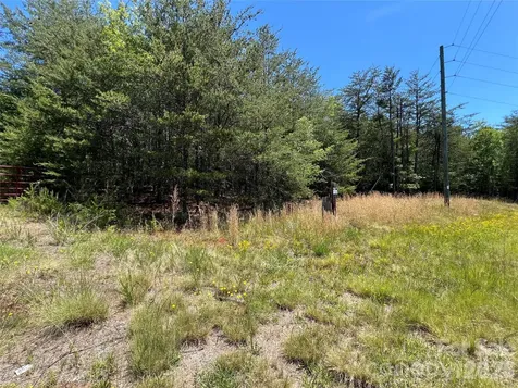 0 Luckadoo Mountain Road Bostic NC 28018