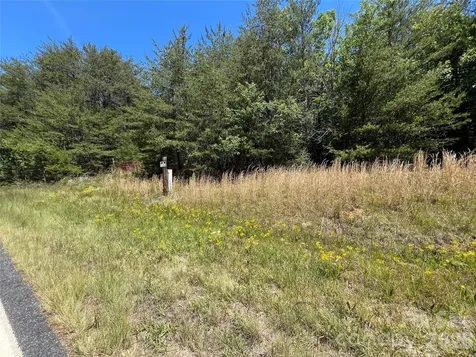 0 Luckadoo Mountain Road Bostic NC 28018
