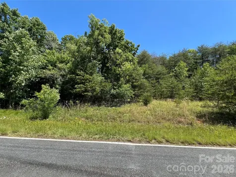 0 Luckadoo Mountain Road Bostic NC 28018