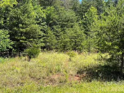 0 Luckadoo Mountain Road Bostic NC 28018