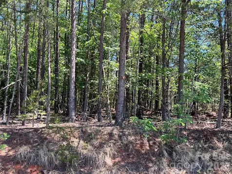 0 Luckadoo Mountain Road Bostic NC 28018