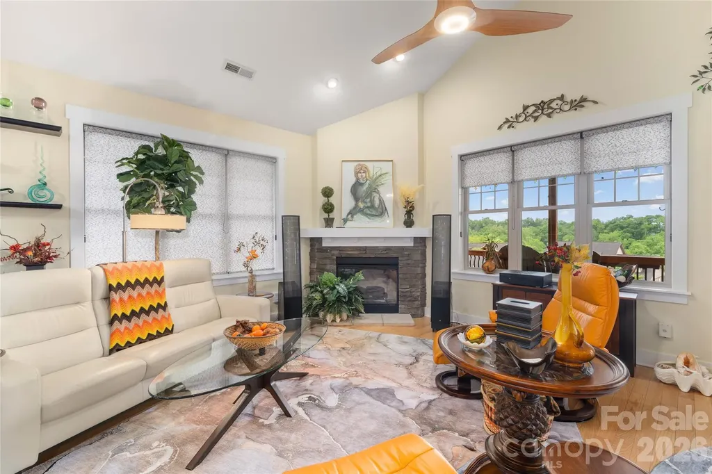 3 Holland Mountain View Asheville NC 28804