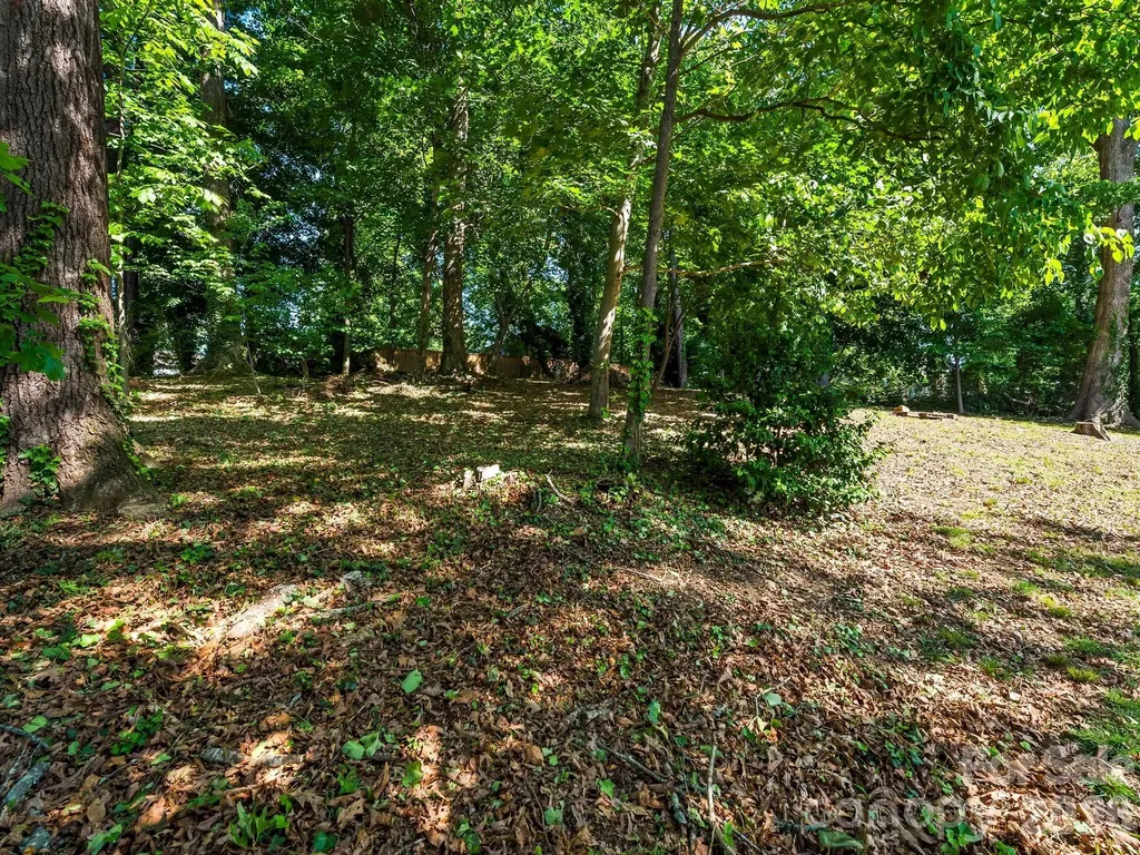 36 Robinwood Avenue Asheville NC 28806