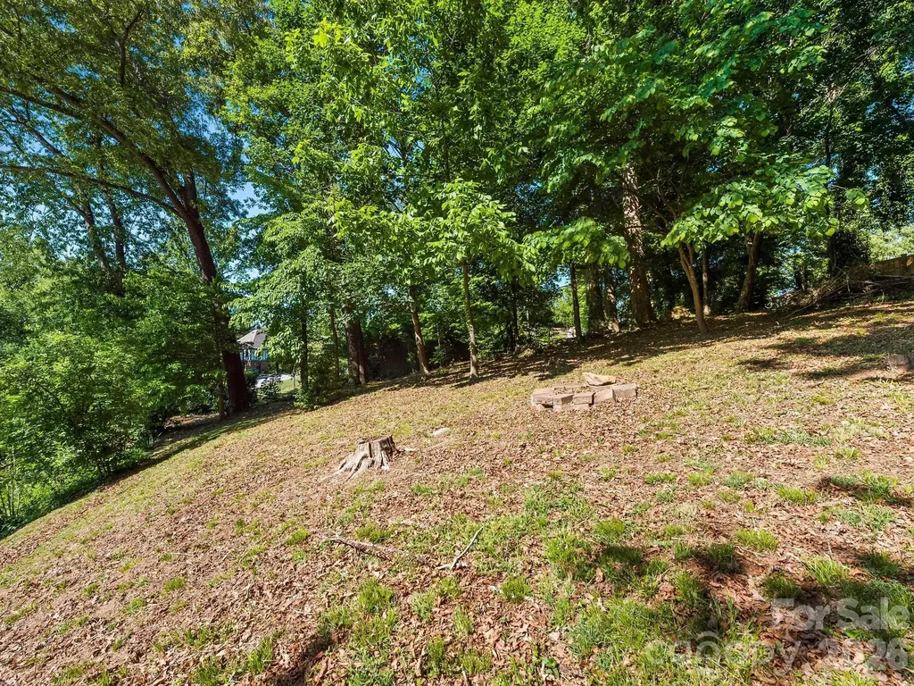 36 Robinwood Avenue Asheville NC 28806