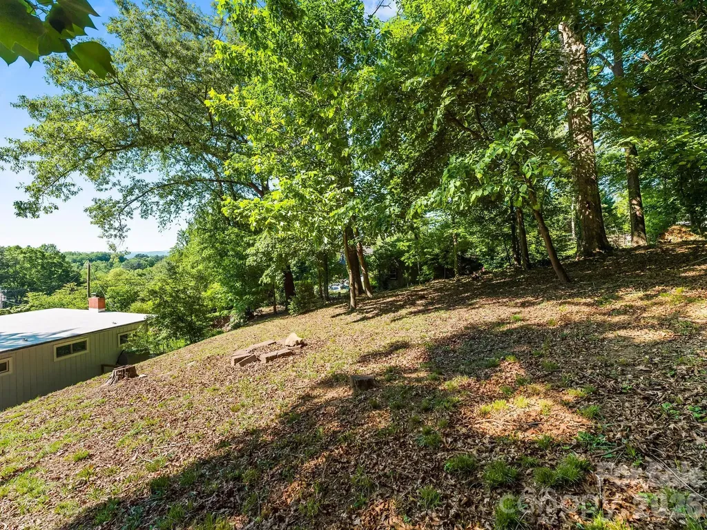 36 Robinwood Avenue Asheville NC 28806