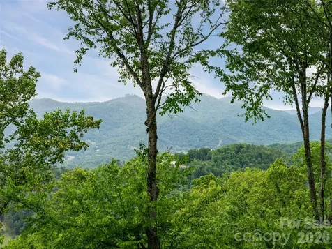 29 Elk Ridge Drive Asheville NC 28804
