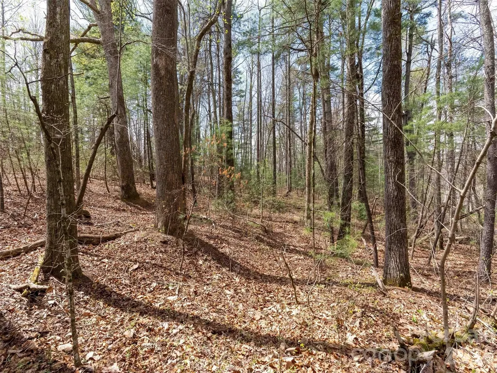 00 E Hilltop Drive Saluda NC 28773