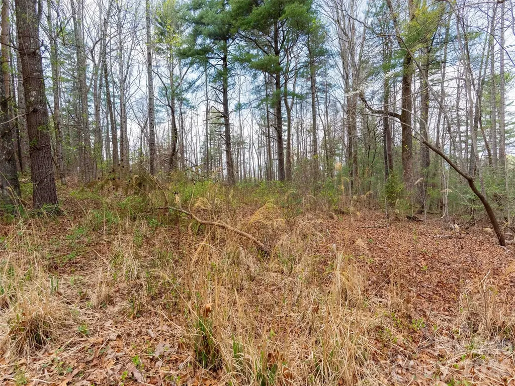 00 E Hilltop Drive Saluda NC 28773