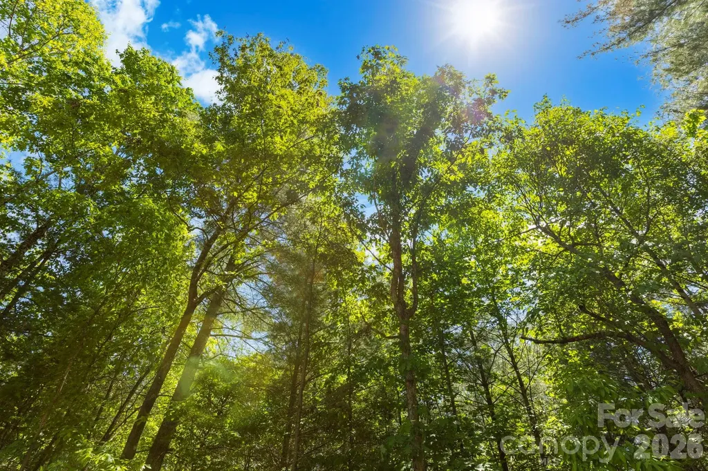 151 Riverbend Forest Drive Asheville NC 28805