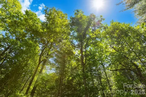 151 Riverbend Forest Drive Asheville NC 28805