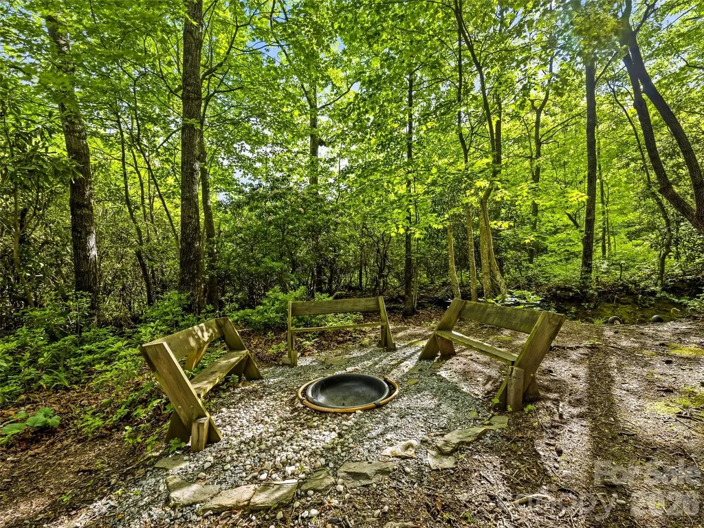 29 Panther Ridge Road Brevard NC 28712