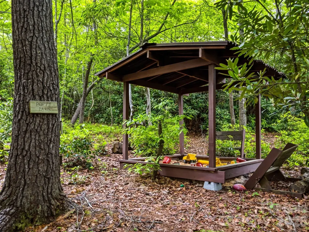 29 Panther Ridge Road Brevard NC 28712