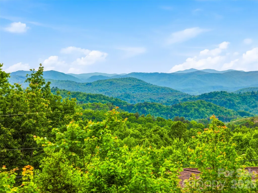 29 Panther Ridge Road Brevard NC 28712