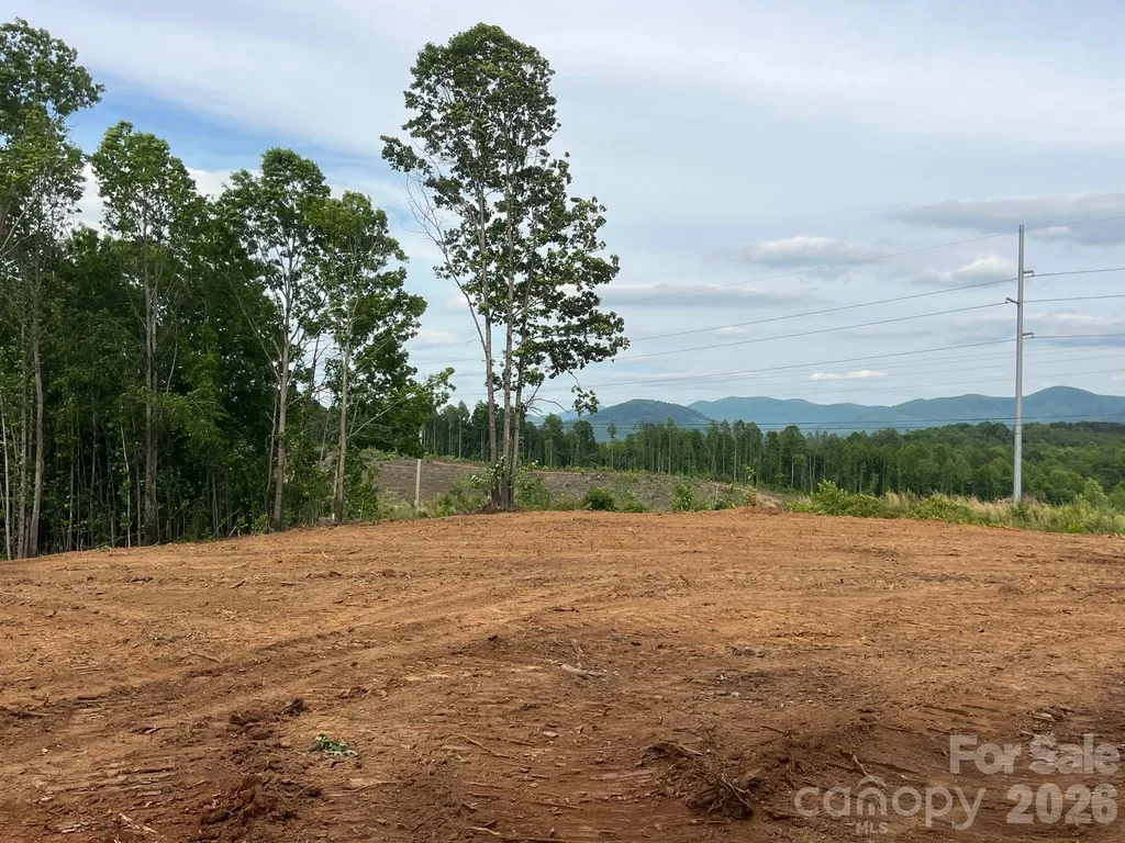 Tbd Vein Mountain Road Nebo NC 28761