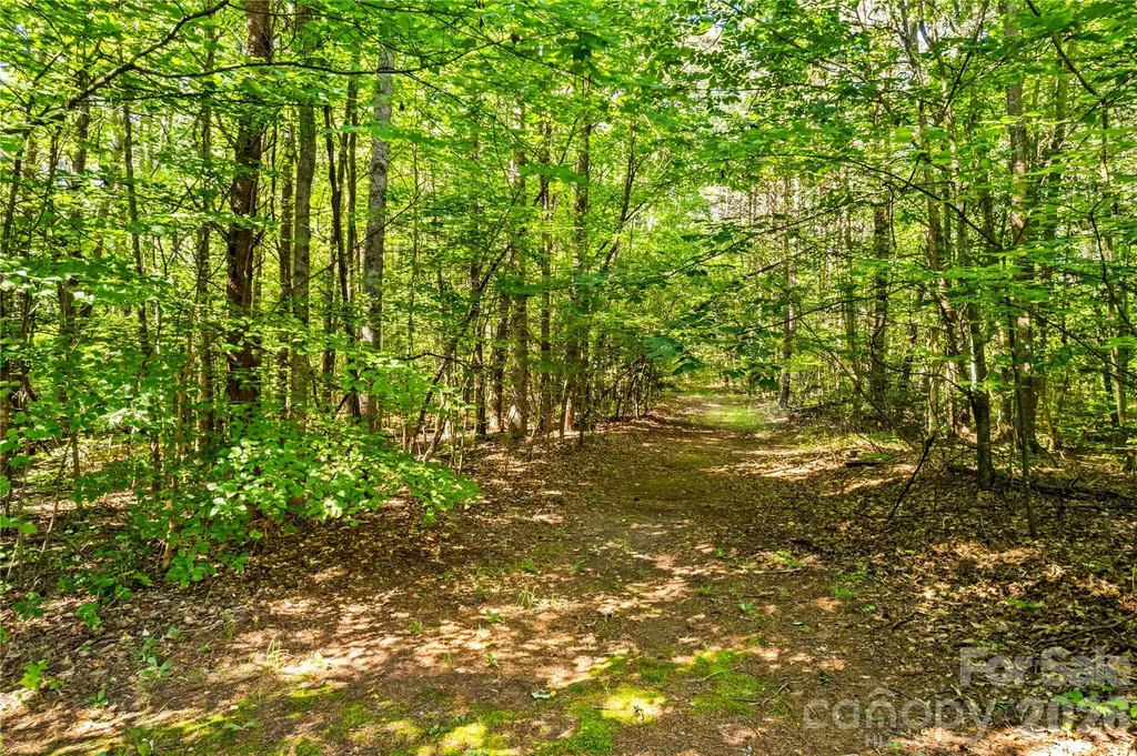 1629 Parkside Drive Catawba NC 28609