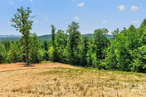 272 Randolph Drive Marion NC 28752