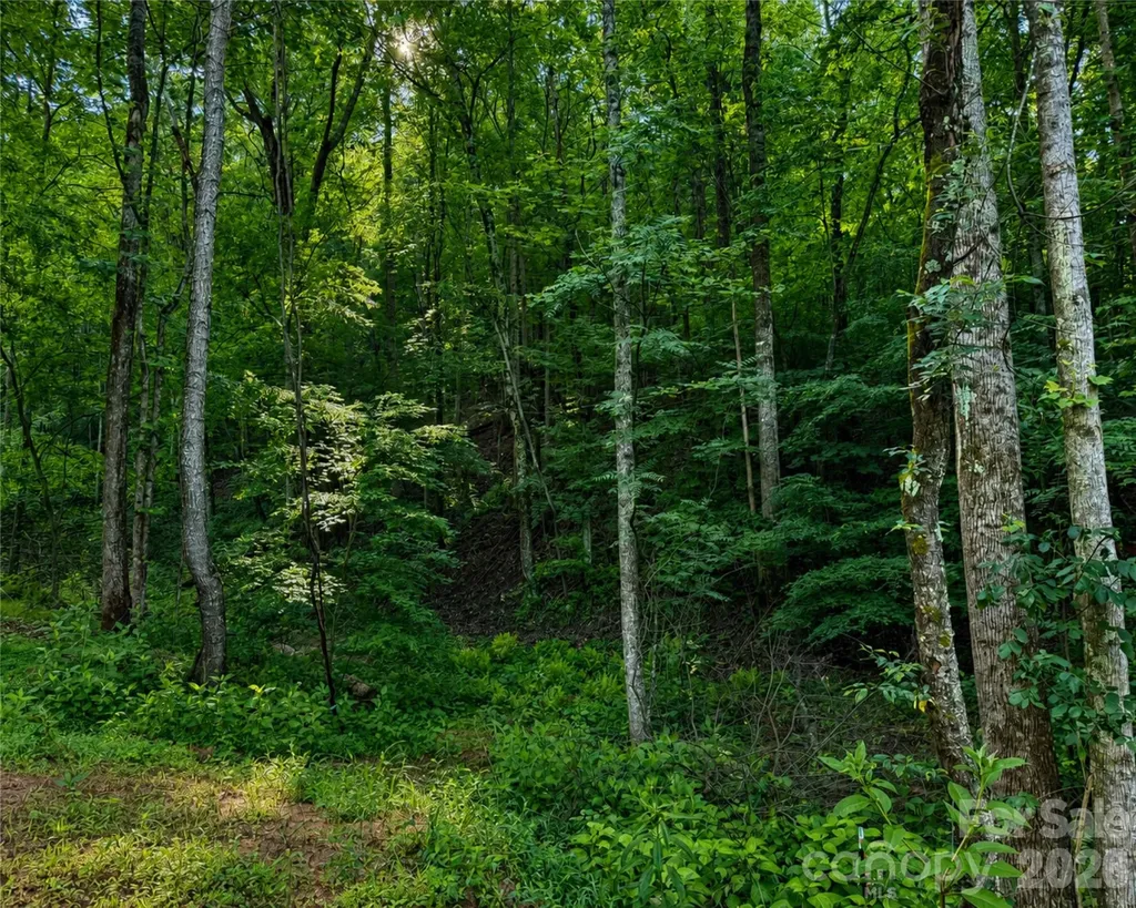 00-00 (9.99 Acres) Boone Gap Lane Taylorsville NC 28681
