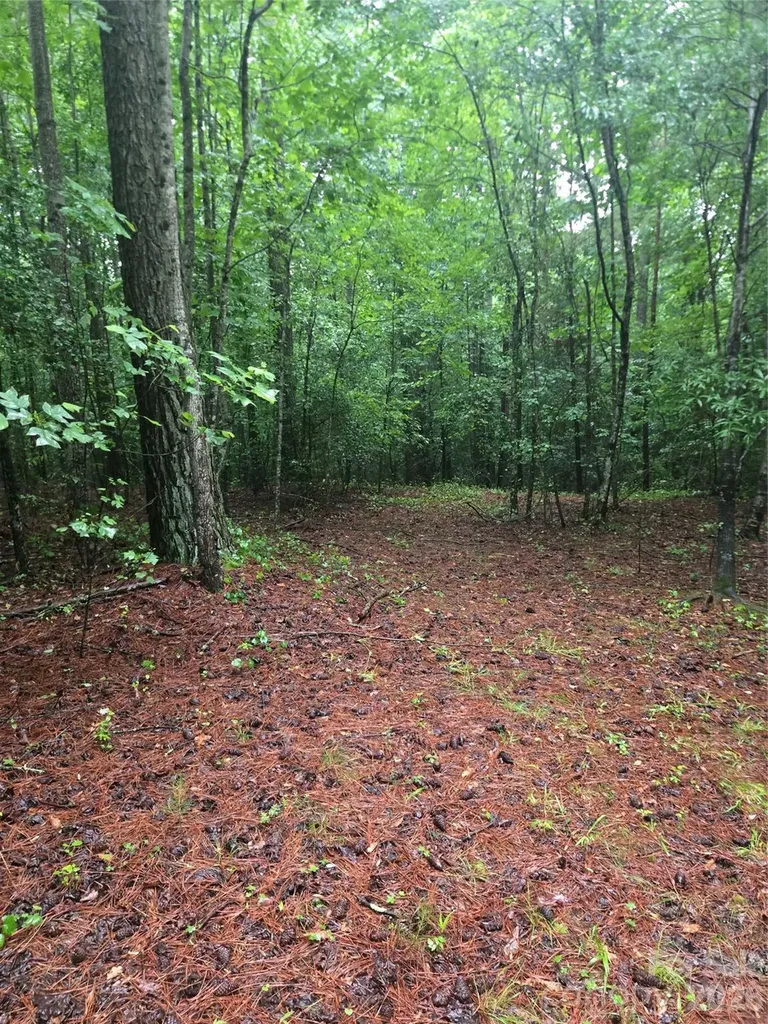 0 Mooresboro Road Mooresboro NC 28114