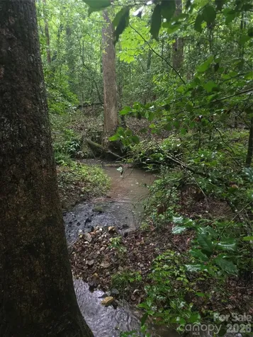 0 Mooresboro Road Mooresboro NC 28114