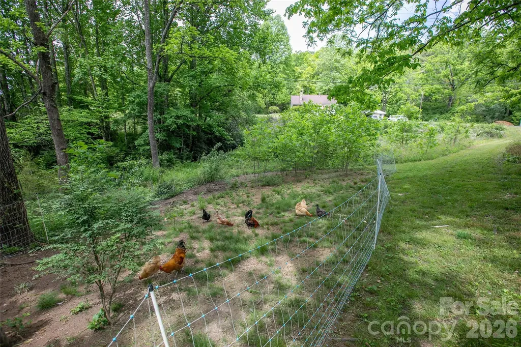 470 Cherryfield Loop Brevard NC 28712