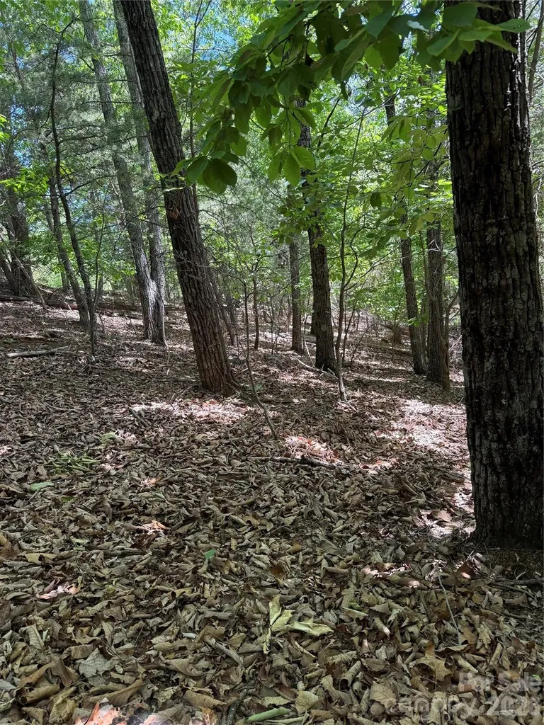 85 Adirondack Lane Bostic NC 28018