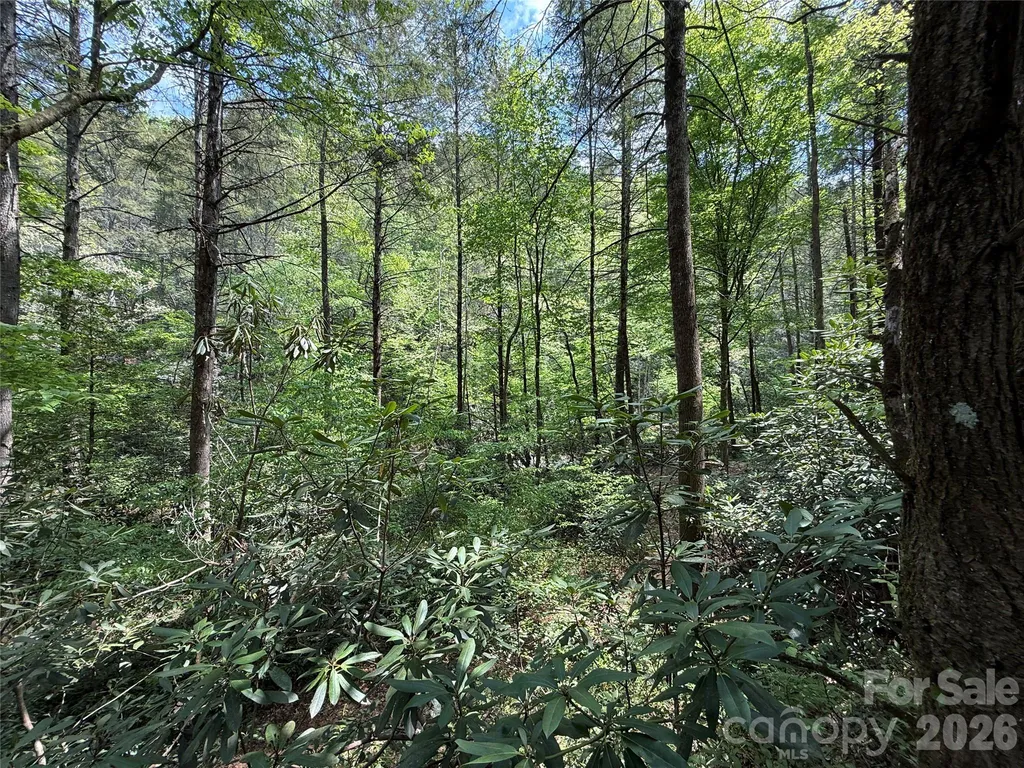 000 Kings Glen Road Old Fort NC 28762