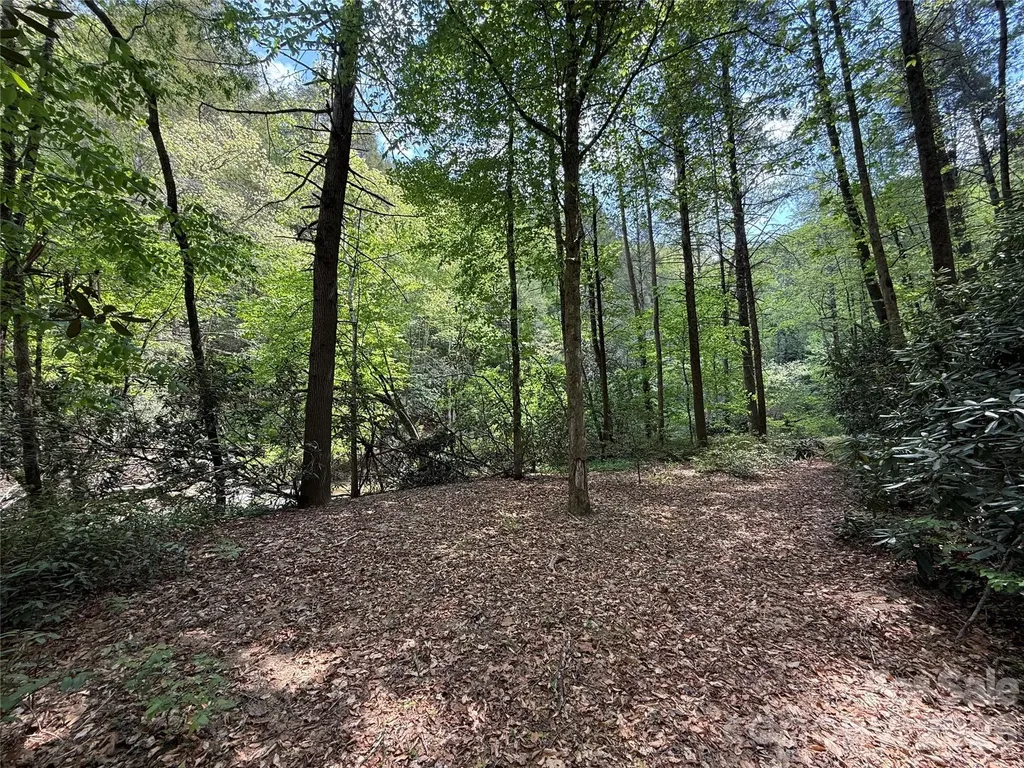 000 Kings Glen Road Old Fort NC 28762