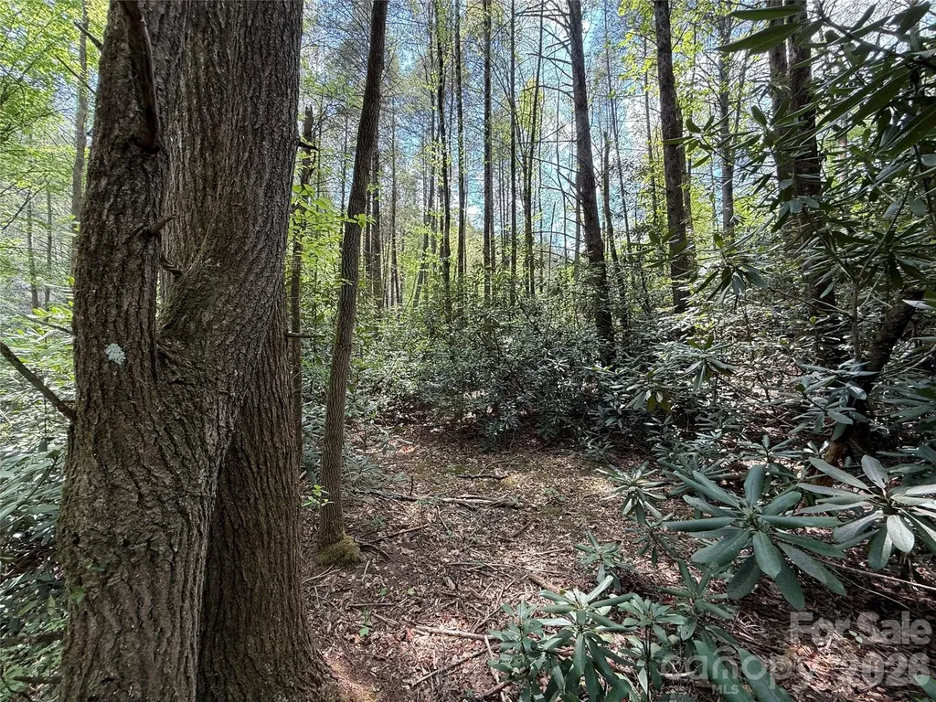 000 Kings Glen Road Old Fort NC 28762