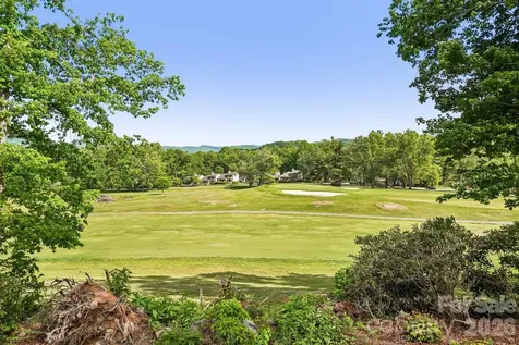 3 Greenbriar Woods Circle Etowah NC 28729