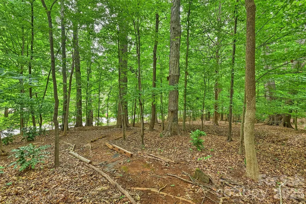 5530 Spearmint Drive Mint Hill NC 28227