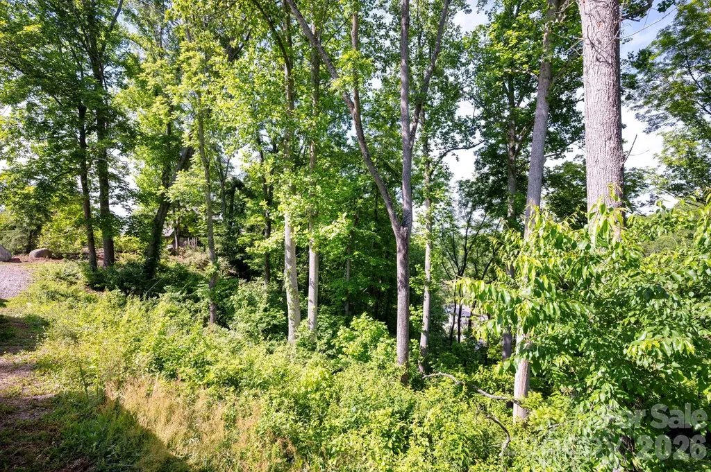 17 Tulip Poplar Trail Asheville NC 28804