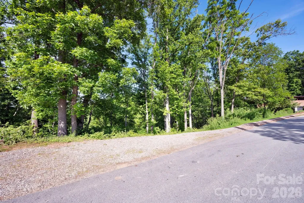 17 Tulip Poplar Trail Asheville NC 28804