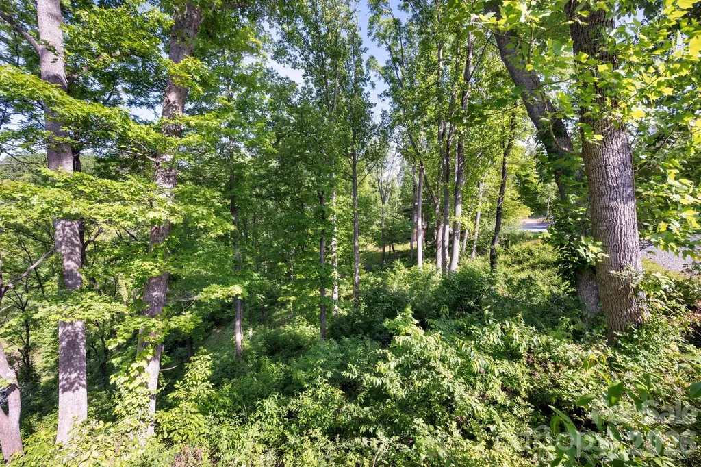 17 Tulip Poplar Trail Asheville NC 28804