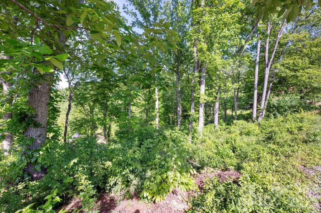 17 Tulip Poplar Trail Asheville NC 28804