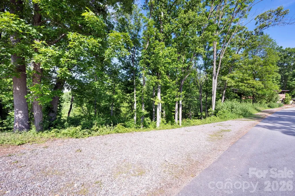 17 Tulip Poplar Trail Asheville NC 28804