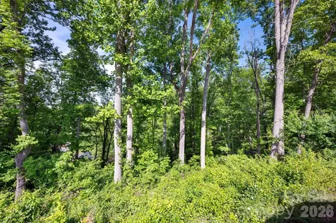 17 Tulip Poplar Trail Asheville NC 28804