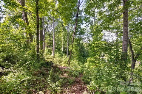 17 Tulip Poplar Trail Asheville NC 28804