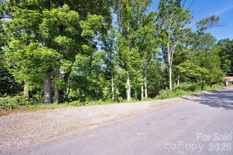 17 Tulip Poplar Trail Asheville NC 28804