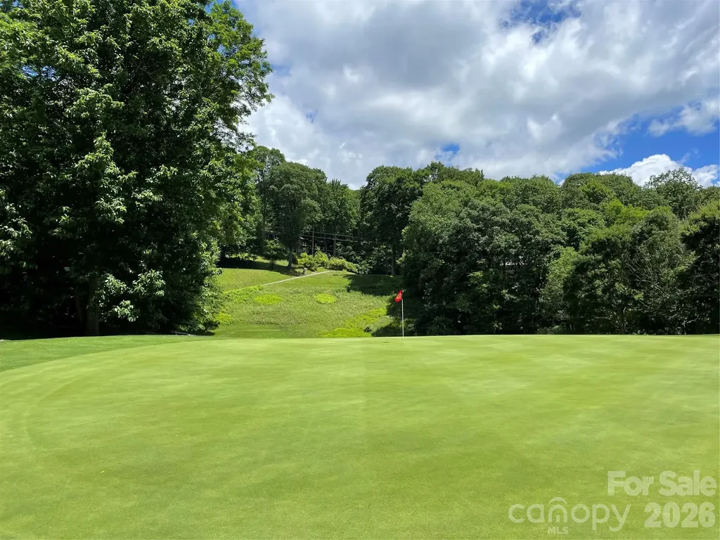 524 Mcdaris Loop Drive Mars Hill NC 28754