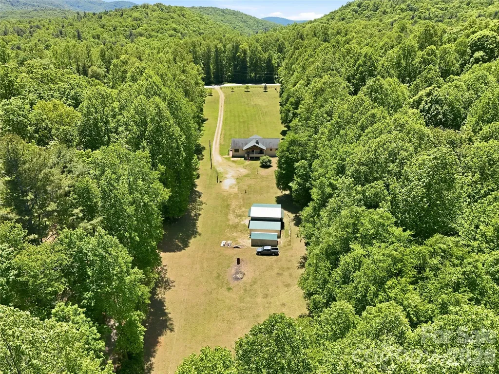 3540 Fork Creek Road Saluda NC 28773