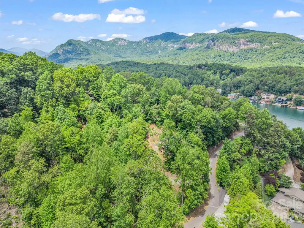 227 Snug Harbor Circle Lake Lure NC 28746